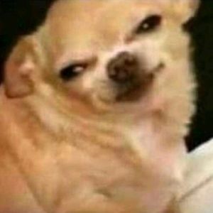 Meet your Posher, Digitaldacnomania